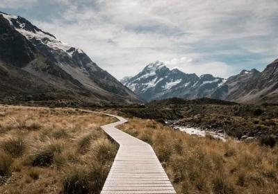 Your Guide to Securing a New Zealand Visa from Dubai