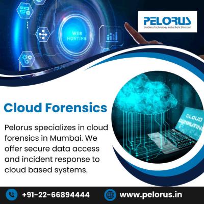 Cloud Forensics