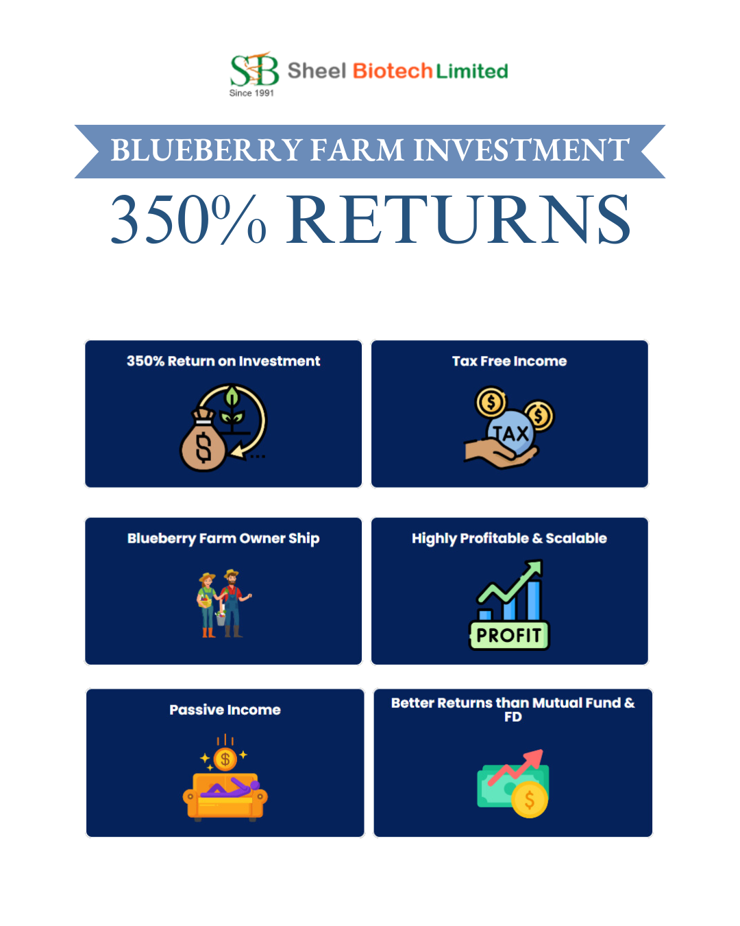 blueberries plants in india - Delhi Other