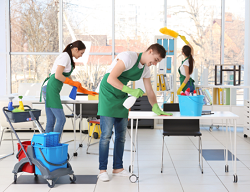 Cleaning Services Ipswich - Brisbane Other