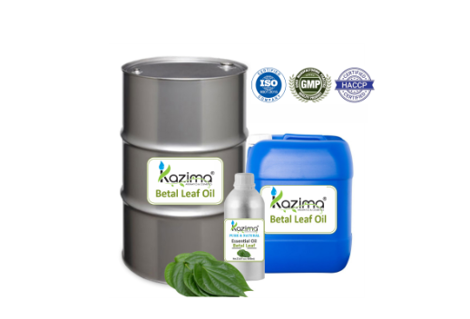 Top Massage Oil Suppliers in Delhi