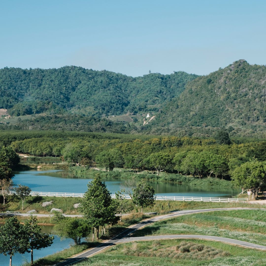 Wolf Creek Ranch Wills Point TX