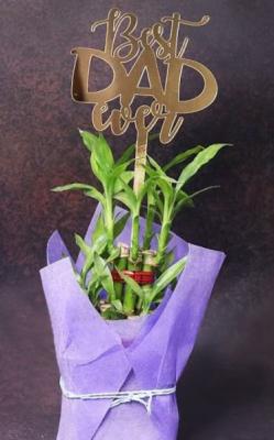 Father's Day Gifts Online - Delhi Other