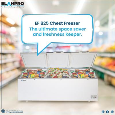Explore the Best Deep Freezer in India – Elanpro