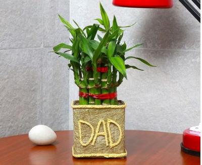 Father's Day Gifts Online