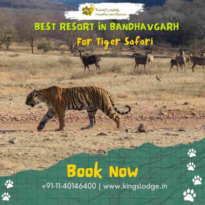 Best Resort near Bandhavgarh for Tiger Safari