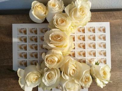 Wedding stamps - Las Vegas Other