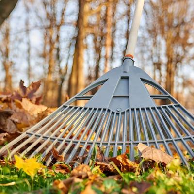 Lawn Care Services Martha's Vineyard