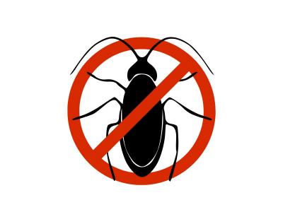 Pest Control in Clearwater - Other Other