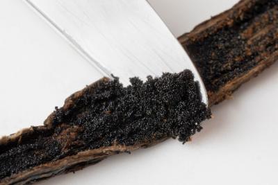 Premium Vanilla Bean Seeds from Madagascar – USA Shipping