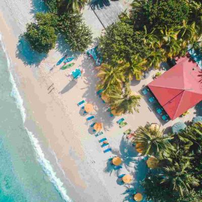 Caribbean Travel Agent - Other Other