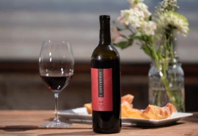 Book Wine Tasting San Francisco - San Francisco Other