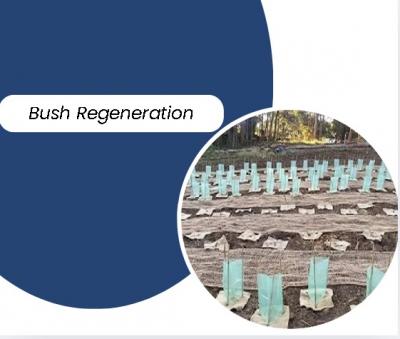 Bush Regeneration and Ecological Restoration