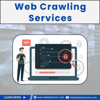 Best Web Crawling Services in India
