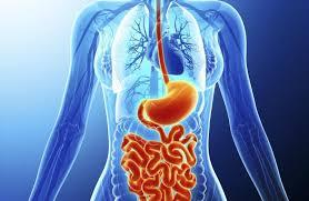 Best Gastroenterologist in Gurgaon – Dr. Mukesh Nandal
