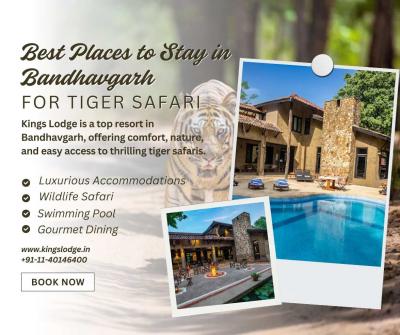 Best Places to Stay in Bandhavgarh for Tiger Safari