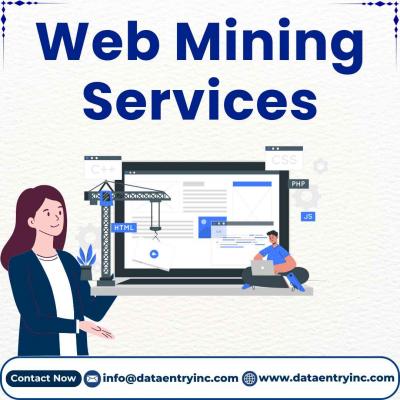 Best Web Mining Services in India