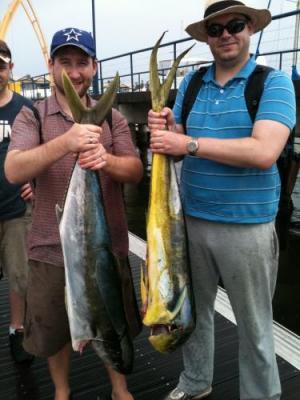 Deep sea fishing brisbane - Brisbane Other