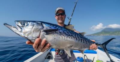 Deep sea fishing brisbane - Brisbane Other