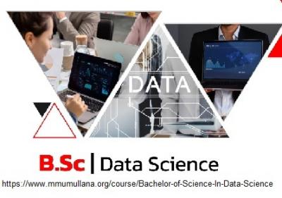 Bsc programming and data science syllabus