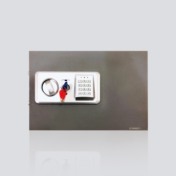 Electronic Locks Manufacturers - New York Other