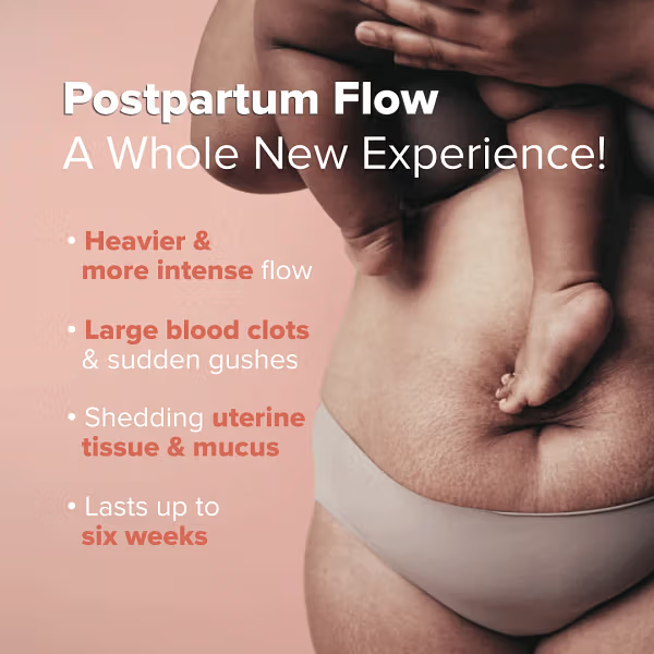  Ultra-Safe Maternity Panties - Mumbai Other