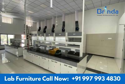 Pharmaceutical and Biotechnology Labs - Brinda Pharma - Gujarat Other