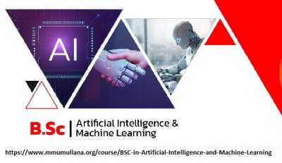 B sc artificial intelligence and machine learning syllabus