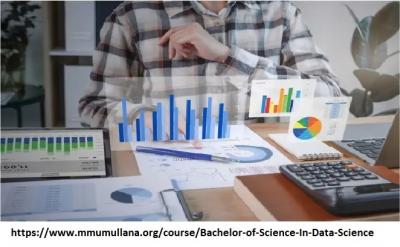 Bsc degree in programming and data science