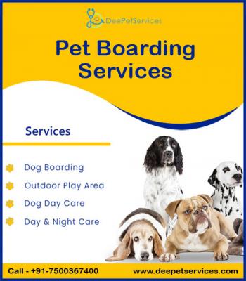 At Home Dog Training Services Noida - Other Other