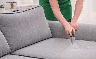 Professional Upholstery Cleaning in Rose Bay – Everdry