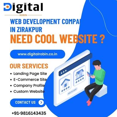 Professional Web Development Company in Zirakpur