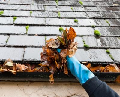 House Cleaning Services Melbourne - Melbourne Professional Services