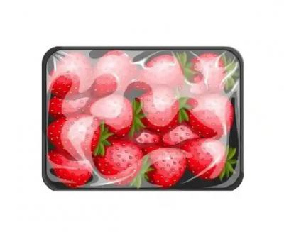 Lock Seal with Antifog - BOPET Film