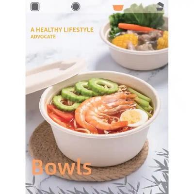 Bagasse Formed Products