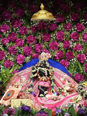 Temples in Vrindavan