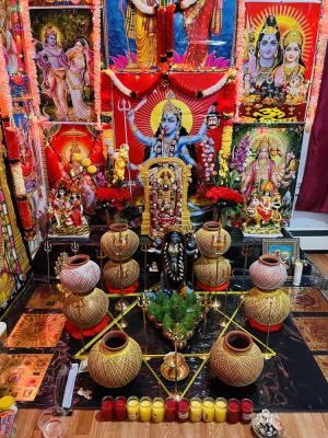 Indian Astrologer & Spiritual Healer - Dallas Other