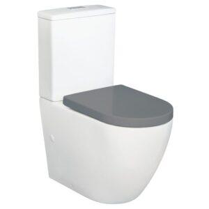 Upgrade Your Bathroom with Rimless Toilets - Brisbane Other