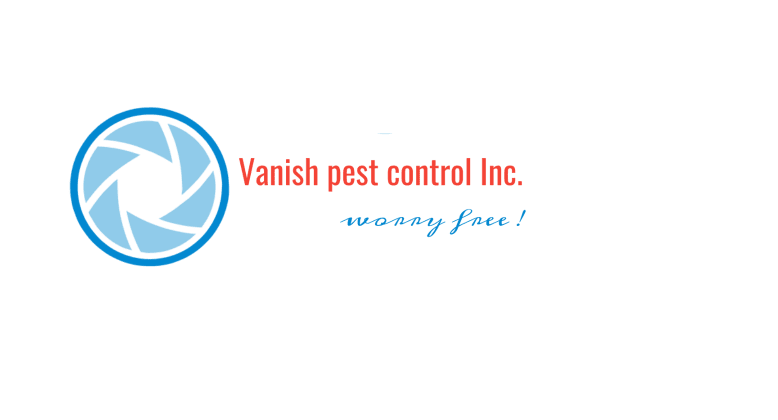 Vanish vs Orkin Toronto - Toronto Other