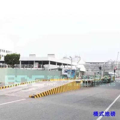 Truck Scale System - Shenzhen Other