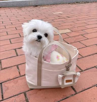 Beautiful Maltese puppies... - Bern Dogs, Puppies