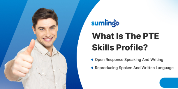 Everything You Need to Know About the PTE Skills Profile