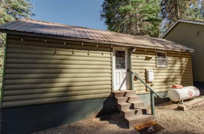 Pet-Friendly Cabins at Huntington Lake – Book Your Mountain Escape