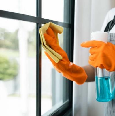 Best Domestic Helper in Katong - Singapore Region Other