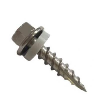 The 410 Stainless Steel Pointed Screw