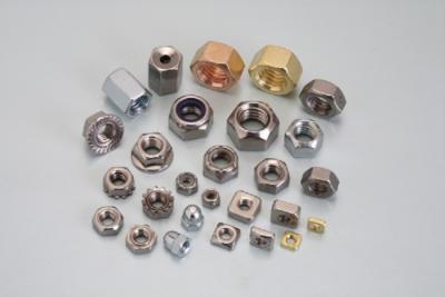 Special Nut - Po Jun limited Co., Ltd.