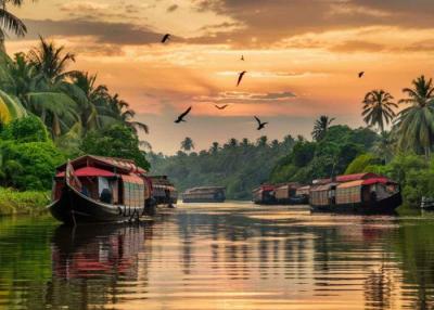 Meghalaya Tour Packages - Bangalore Other