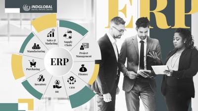 Custom ERP Software Services in Dubai