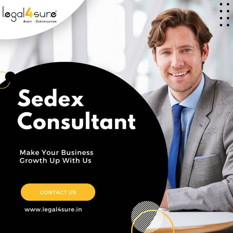 Trusted Sedex Consultant for SMETA Audit 