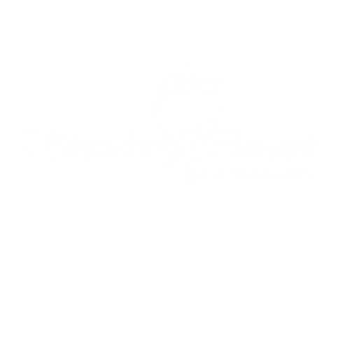 Luxury Boudoir Tacoma - Washington Other